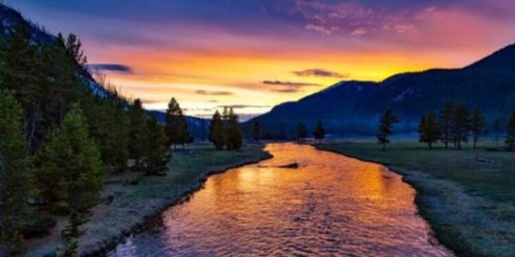 White House condemns judge’s order mandating ‘woke’ ideology at national parks * WorldNetDaily * by Tyler O'Neil, The Daily Signal