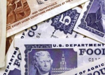 Blue states feeding taxpayers to food-stamp wolves * WorldNetDaily * by Scott McClallen, Real Clear Wire