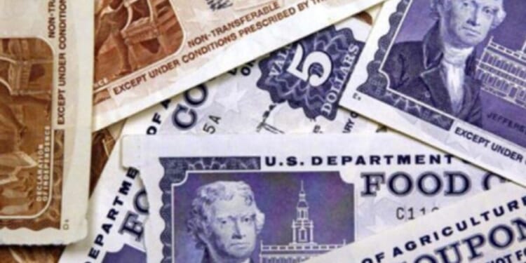 Blue states feeding taxpayers to food-stamp wolves * WorldNetDaily * by Scott McClallen, Real Clear Wire