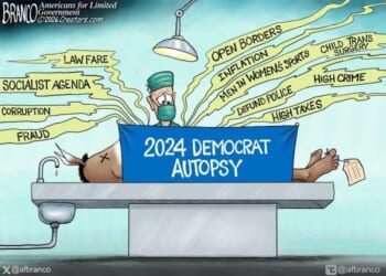 2024 Democrat autopsy * WorldNetDaily * by A.F. Branco