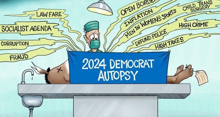 2024 Democrat autopsy * WorldNetDaily * by A.F. Branco
