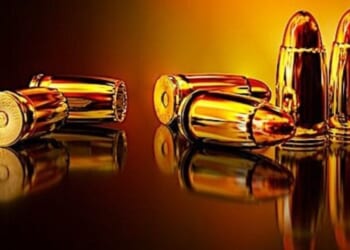 Harmeet Dhillon discusses Trump DOJ’s strategy for taking down Dem gun bans * WorldNetDaily * by Harold Hutchison, Daily Caller News Foundation