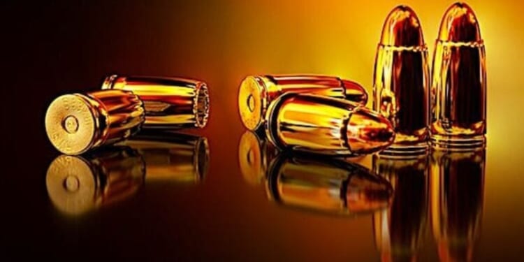 Harmeet Dhillon discusses Trump DOJ’s strategy for taking down Dem gun bans * WorldNetDaily * by Harold Hutchison, Daily Caller News Foundation