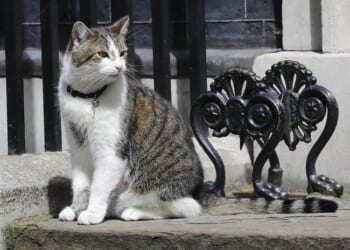 Larry for UK Prime Minister? – RedState