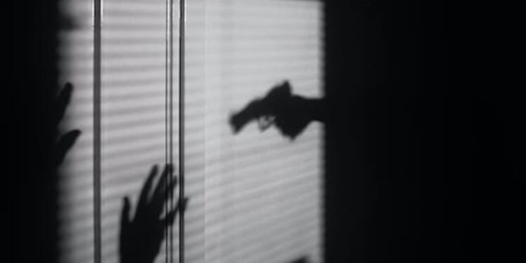 Public safety starts with solving crimes, not just reporting them * WorldNetDaily * by Rachel Wright, Real Clear Wire