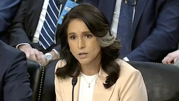 Director of National Intelligence Tulsi Gabbard (Video screenshot)