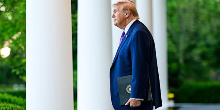 ‘A WARRIOR and WINNER!’ Trump makes last-minute endorsement of Rep. Mike Collins in crucial Republican runoff for U.S. Senate