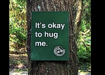Forget kids, town approves ‘right to life’ for … TREES! * WorldNetDaily * by Bob Unruh