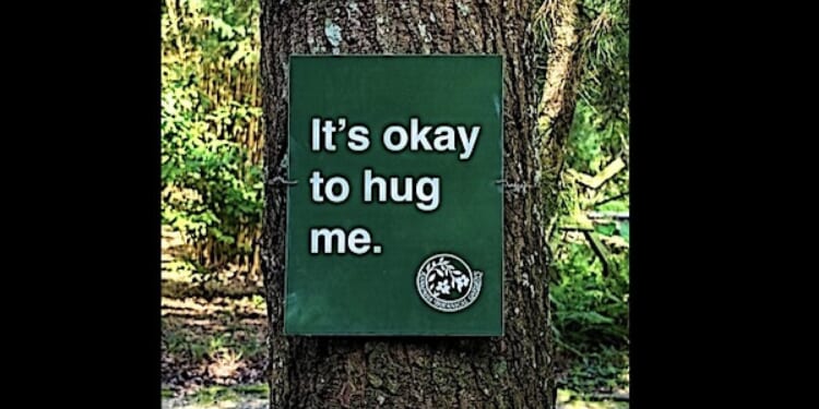 Forget kids, town approves ‘right to life’ for … TREES! * WorldNetDaily * by Bob Unruh