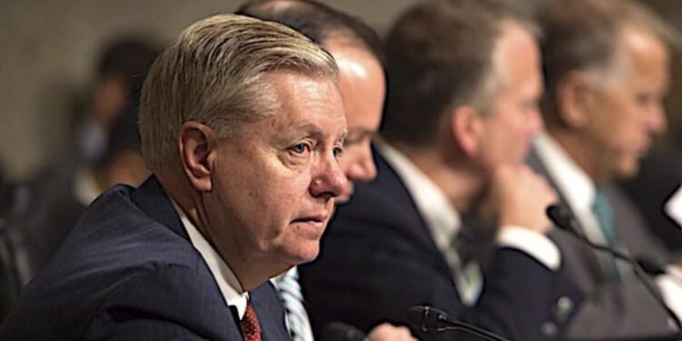 Medical examiner reveals preliminary findings in Lindsey Graham’s sudden death * WorldNetDaily * by Joe Kovacs