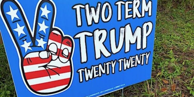 Top Democrat says the quiet part out loud about the SAVE America Act * WorldNetDaily * by Joe Kovacs
