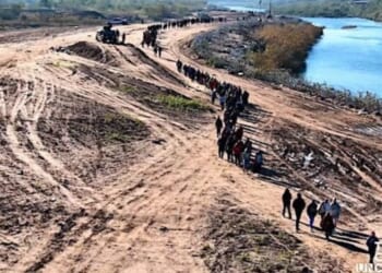 Children of ‘invaders’ to be excluded from U.S. citizenship under brand-new proposal in Congress * WorldNetDaily * by Bob Unruh