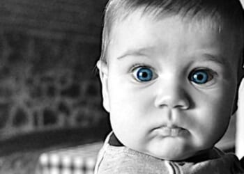 Back to basics for med-school chiefs? They can’t say whether men can have babies * WorldNetDaily * by Bob Unruh