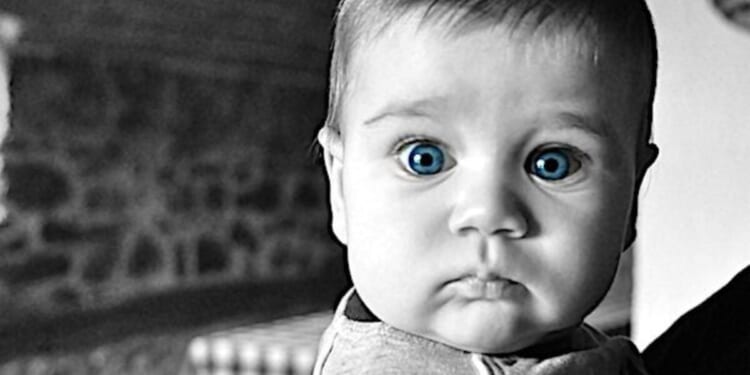 Back to basics for med-school chiefs? They can’t say whether men can have babies * WorldNetDaily * by Bob Unruh