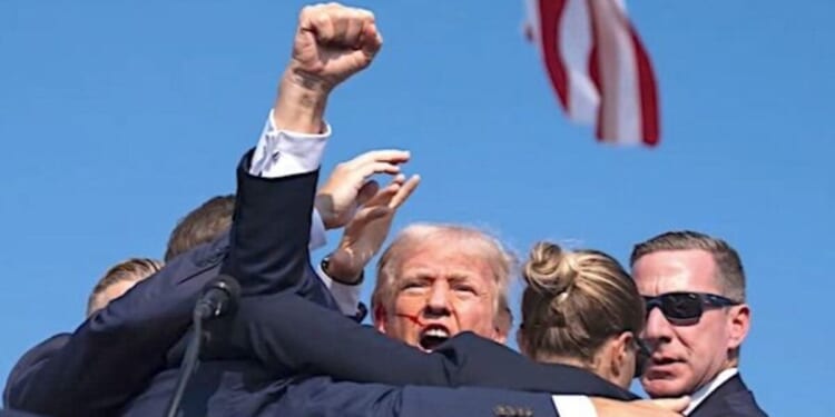 Former Marine facing criminal charge after posting video calling for Trump to be killed * WorldNetDaily * by Bob Unruh