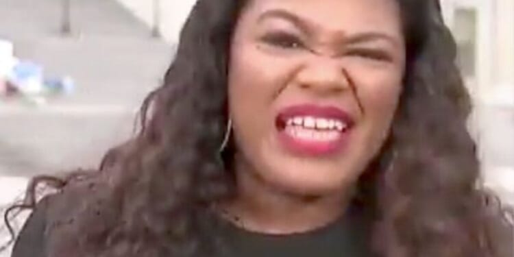 Ex-Squad member Cori Bush now in bull’s-eye of investigation over fundraising cash * WorldNetDaily * by Bob Unruh