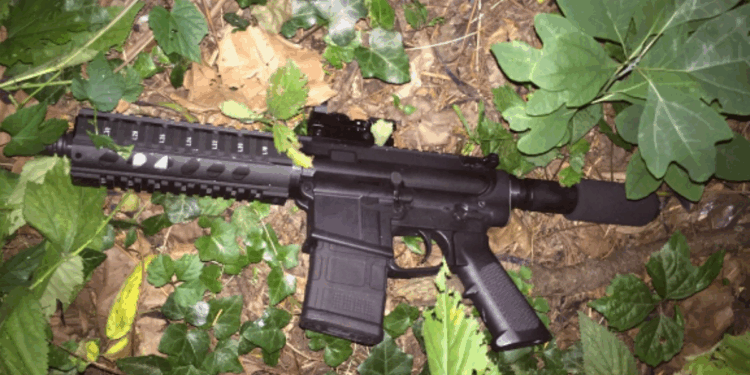 Appeals court strikes down state’s semi-automatic rifle ban, magazine limit * WorldNetDaily * by Jim Hoft, the Gateway Pundit