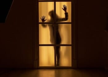 In-home workers accuse unions of coerced dues, shakedowns * WorldNetDaily * by Susan Crabtree, Real Clear Wire