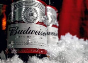 Will pilot have to forfeit his plane because passenger packed beer in luggage? U.S. Supreme Court jumps in * WorldNetDaily * by Bob Unruh