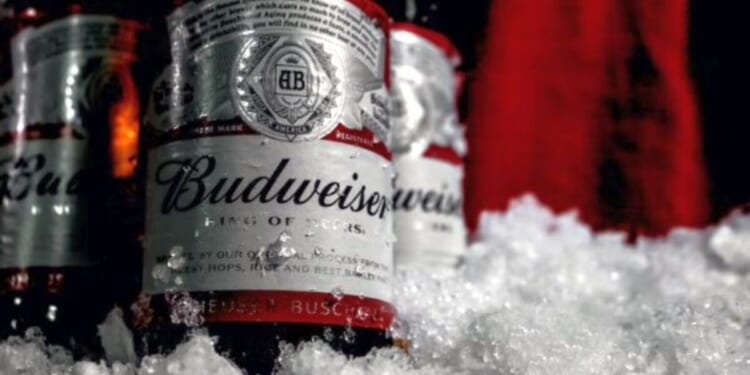 Will pilot have to forfeit his plane because passenger packed beer in luggage? U.S. Supreme Court jumps in * WorldNetDaily * by Bob Unruh