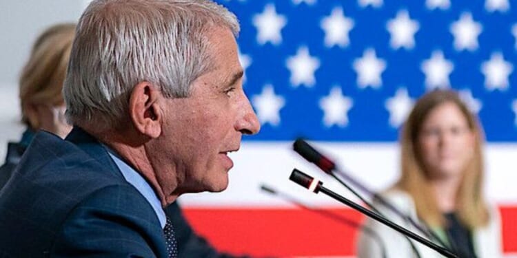 ‘Almost divine figure’ like Fauci unlikely to be held accountable * WorldNetDaily * by Merrilee Gasser, The Center Square