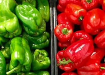 Mamdani says city-run groceries will offer 30% discount * WorldNetDaily * by Jarrett Stepman, The Daily Signal
