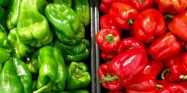 Mamdani says city-run groceries will offer 30% discount * WorldNetDaily * by Jarrett Stepman, The Daily Signal