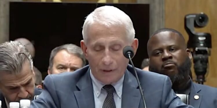 Fauci could face charges over his Fifth Amendment frenzy * WorldNetDaily * by Bob Unruh