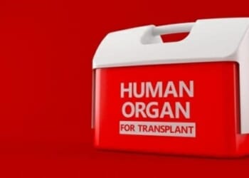 Doctors push plan to kill people by taking their organs for transplant * WorldNetDaily * by Bob Unruh
