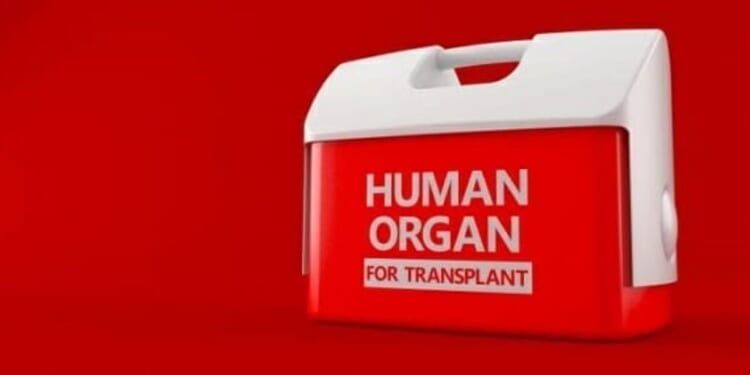 Doctors push plan to kill people by taking their organs for transplant * WorldNetDaily * by Bob Unruh