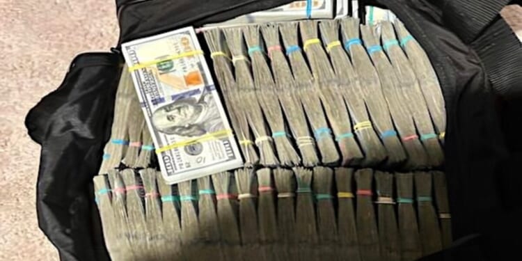 2 people charged in alleged multi-million dollar Medicaid fraud * WorldNetDaily * by Ireland Owens, Daily Caller News Foundation