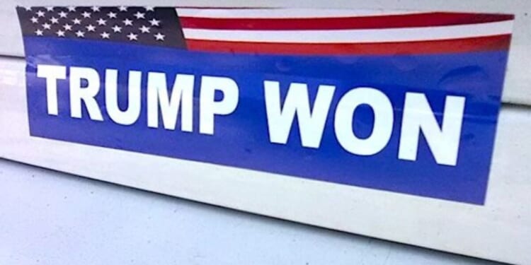 2020 files changed the odds, now Congress should change the rules * WorldNetDaily * by Peter Navarro, Real Clear Wire