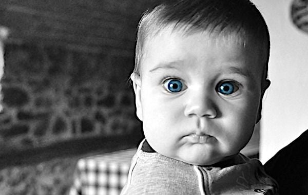 (Image by PublicDomainPictures from Pixabay)