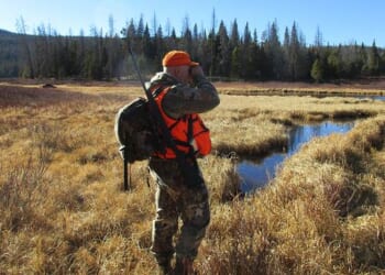 Disastrous Oregon Animal Rights Measure Fails to Make Ballot – RedState