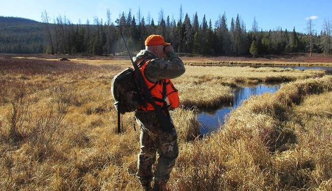 Disastrous Oregon Animal Rights Measure Fails to Make Ballot – RedState