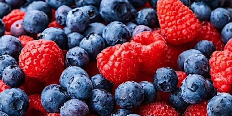Food-borne illness cases spike as Michigan declares outbreak * WorldNetDaily * by Elyse Apel, The Center Square