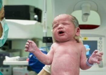 Georgia congressman moves to ban birth tourism once and for all * WorldNetDaily * by Faith Miller, Daily Caller News Foundation