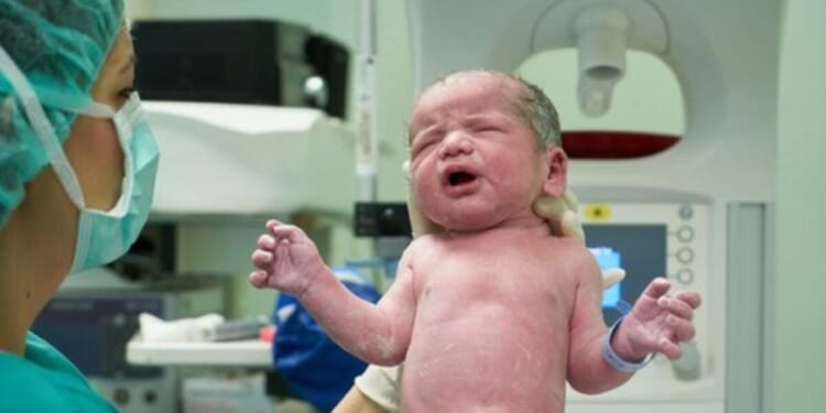 Georgia congressman moves to ban birth tourism once and for all * WorldNetDaily * by Faith Miller, Daily Caller News Foundation