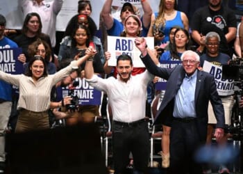 Michigan Democrats Have a Senate Problem