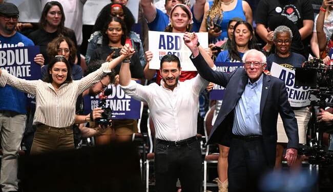 Michigan Democrats Have a Senate Problem