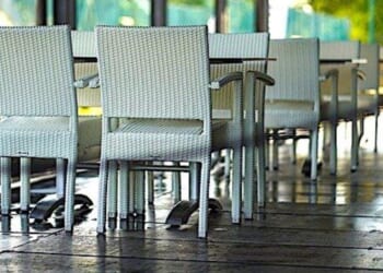 Yum! Michelin-starred chef facing penalty for using WHAT as a topping? * WorldNetDaily * by WND Staff