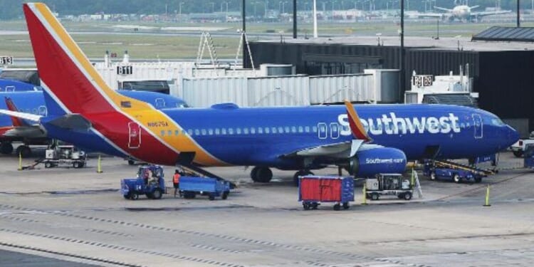 ‘Valid work visa’? ICE arrests flight attendant ‘while at work’ * WorldNetDaily * by Jim Hoft, Gateway Pundit