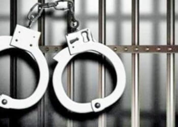 Feds confirm law enforcement sweep in 1 city nets 1,200 illegal immigrants * WorldNetDaily * by Bob Unruh