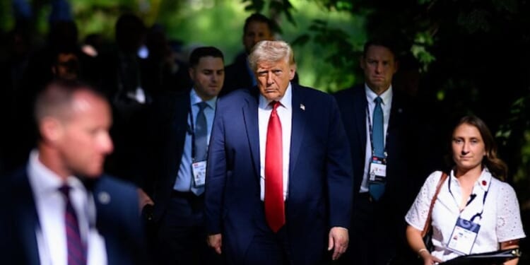 The election questions Democrats refuse to answer * WorldNetDaily * by Michael Thielen, Real Clear Wire