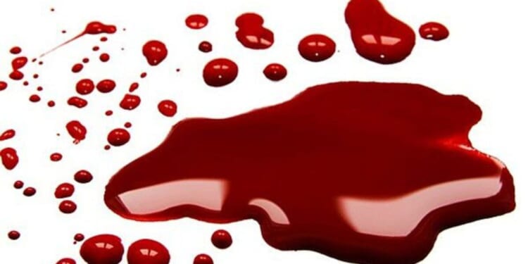 Would-be robber makes fatal error in victim selection after delivery driver draws gun * WorldNetDaily * by Harold Hutchison, Daily Caller News Foundation