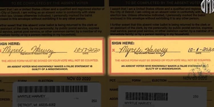 Video reveals Michigan voters who voted TWICE! * WorldNetDaily * by WND Staff