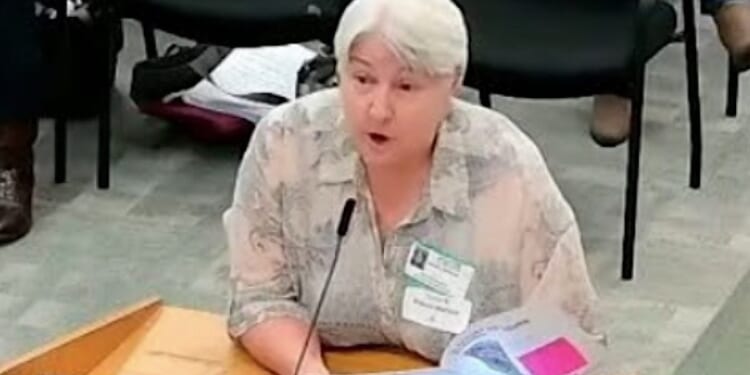‘Why are they in your schools?’ Conservative thrown out of school-board meeting for reading aloud from sexually explicit book in school library