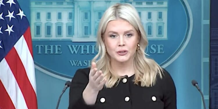 ‘How about you?’ Did Trump just reveal Karoline Leavitt’s replacement as White House press secretary? * WorldNetDaily * by Joe Kovacs