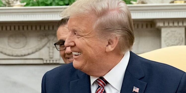 Dem senator suggests Trump wants to travel with younger female aide * WorldNetDaily * by WND Staff