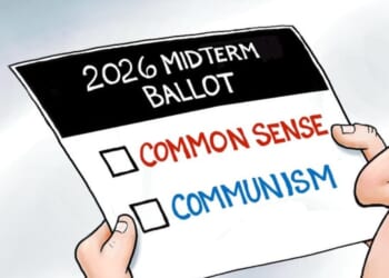 Your ballot made simple * WorldNetDaily * by A.F. Branco
